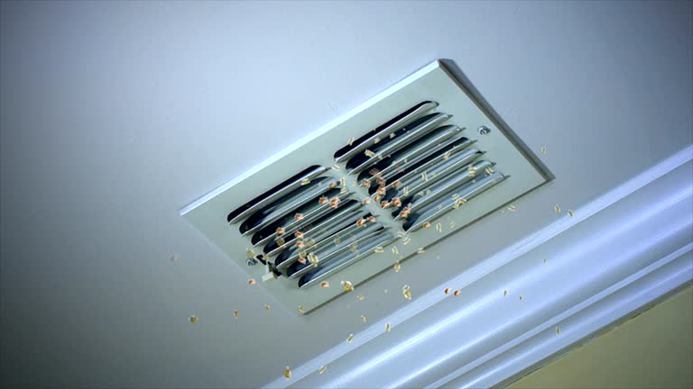 Best Best Air Duct Cleaning Company  in Terrell Hills, TX