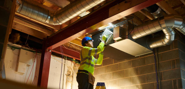Air Duct Mold Removal in Terrell Hills, TX