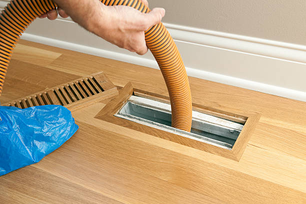 Best Air Duct Mold Removal  in Terrell Hills, TX